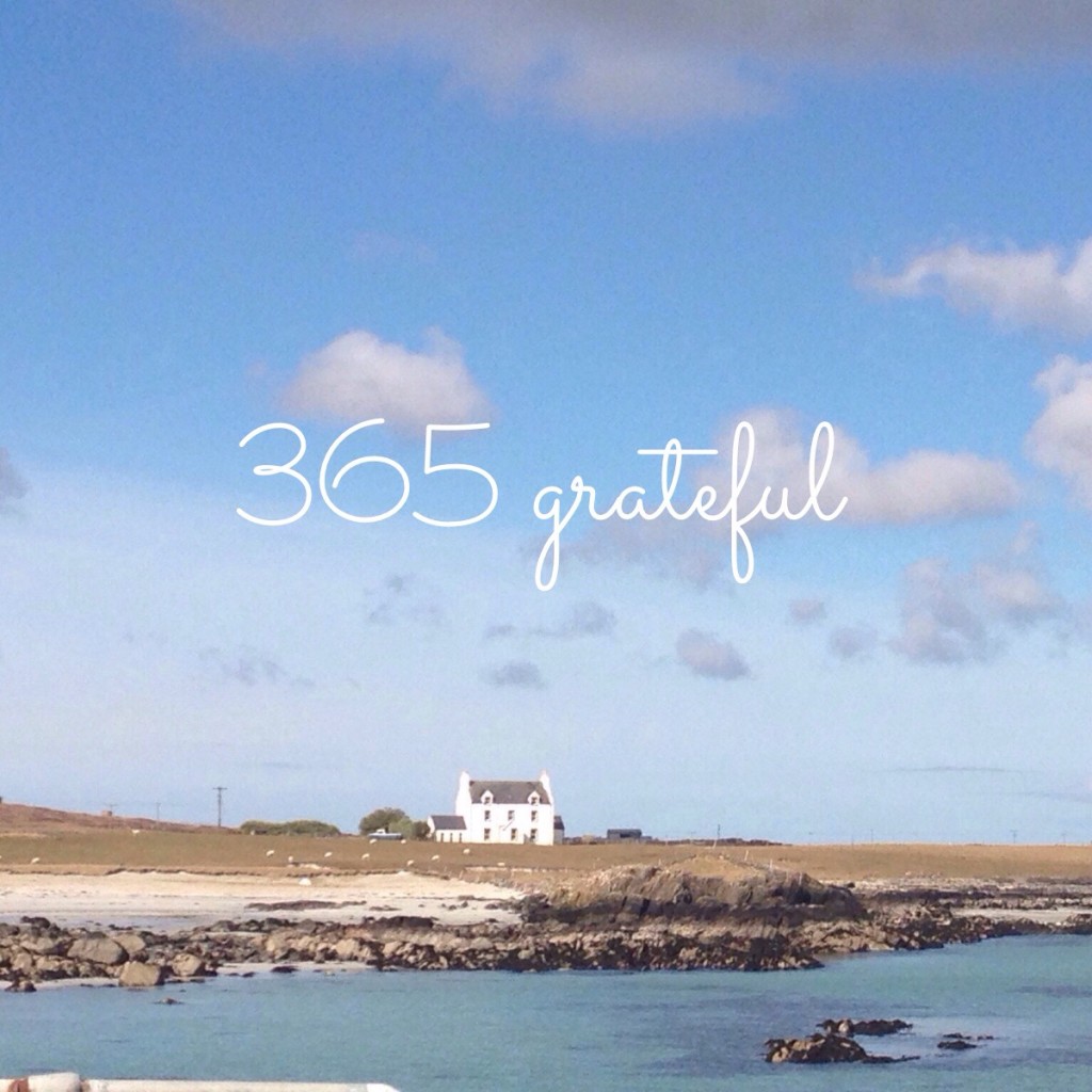 365 Grateful 2015