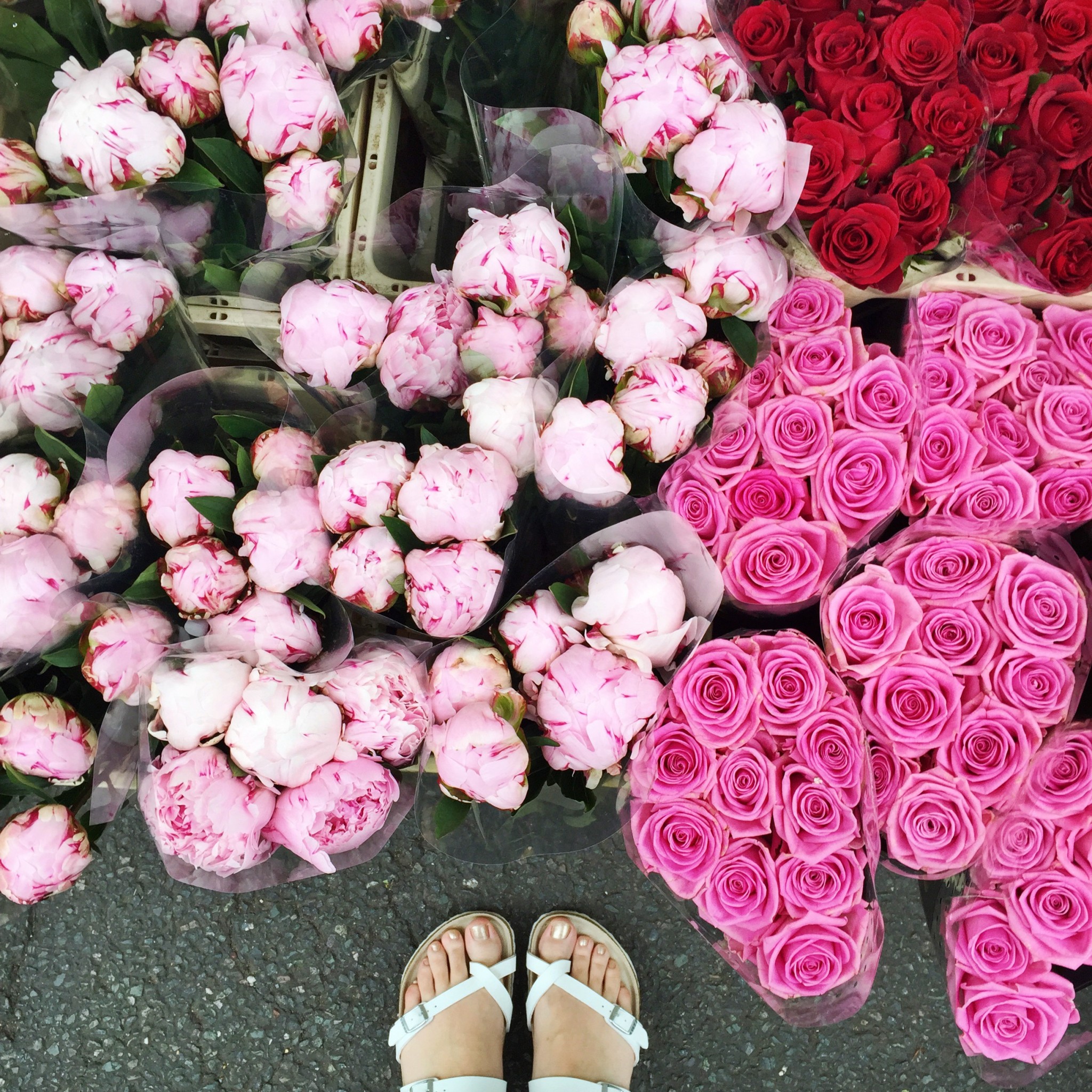 Columbia Road flower market
