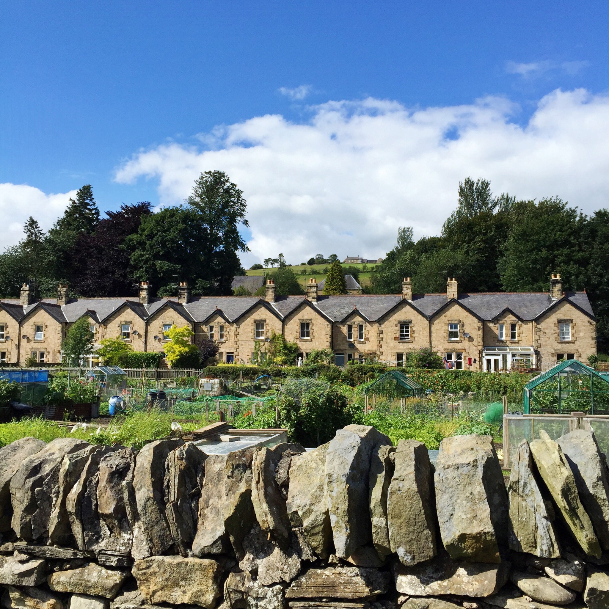 Railway cottages | Hello! Hooray!