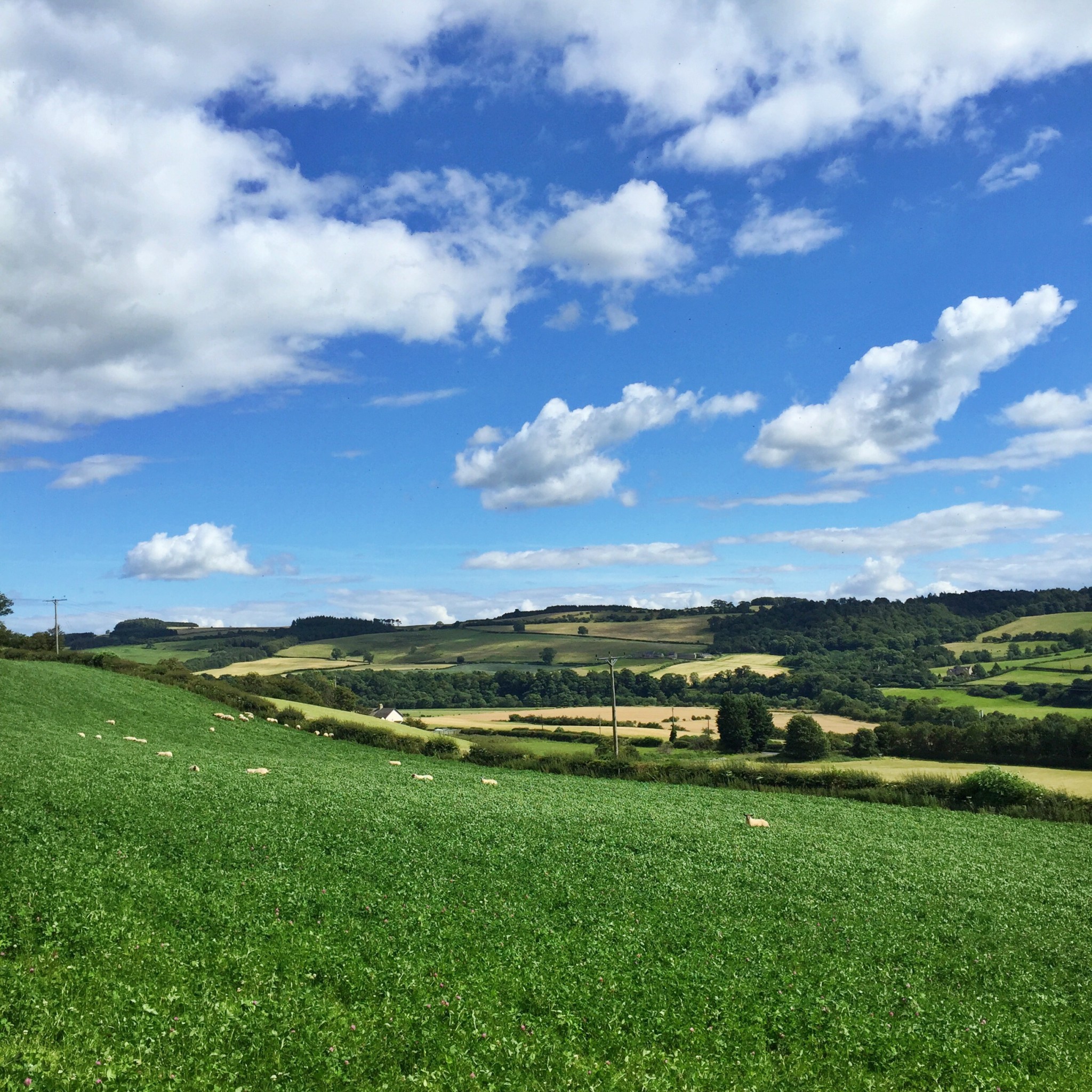 Haydon Bridge | Hello! Hooray!