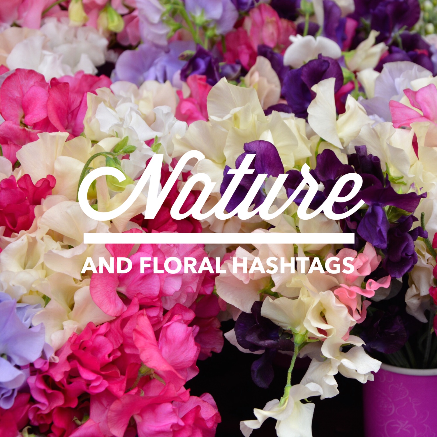 Nature hashtags | Hello! Hooray!