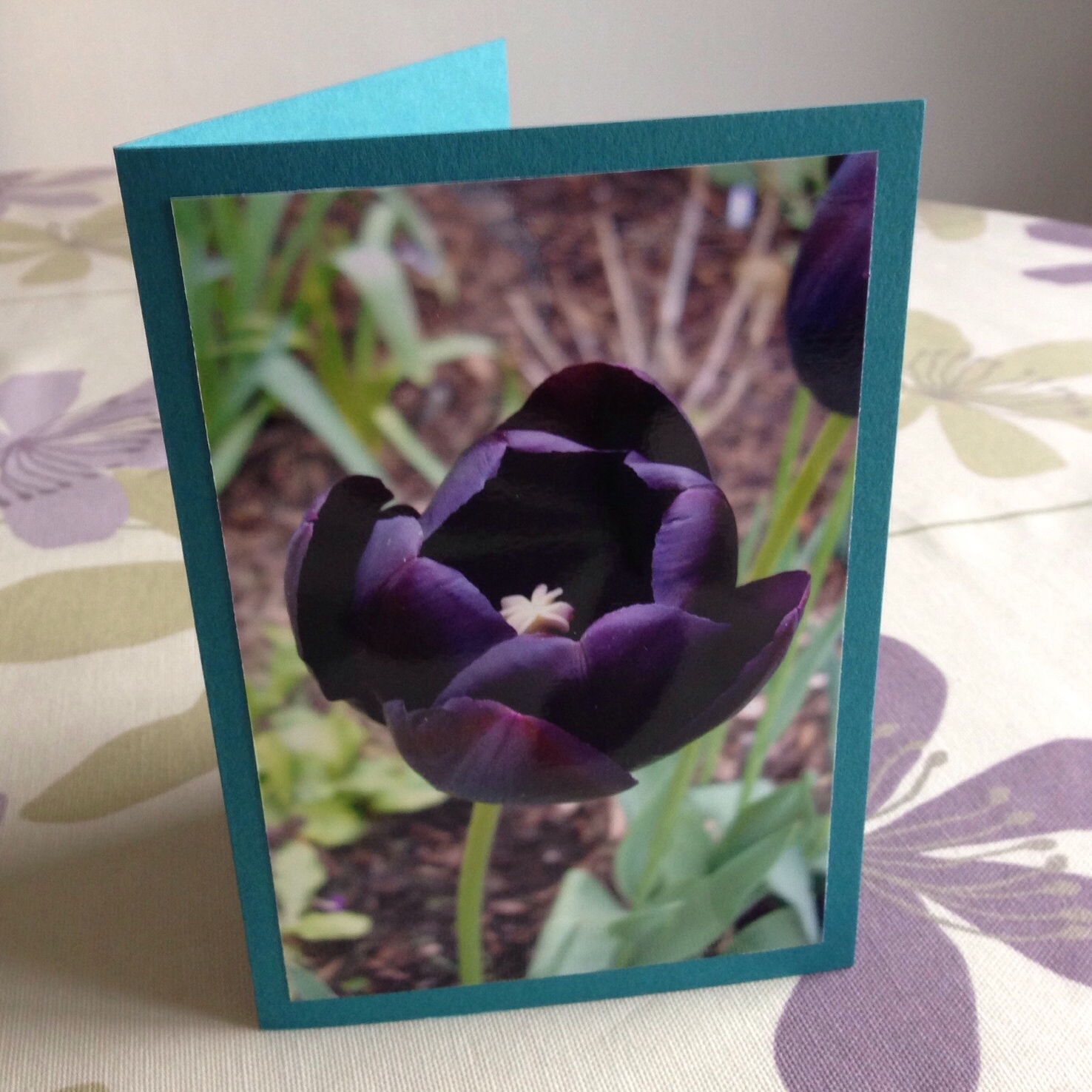 Finished photo card | Hello! Hooray!