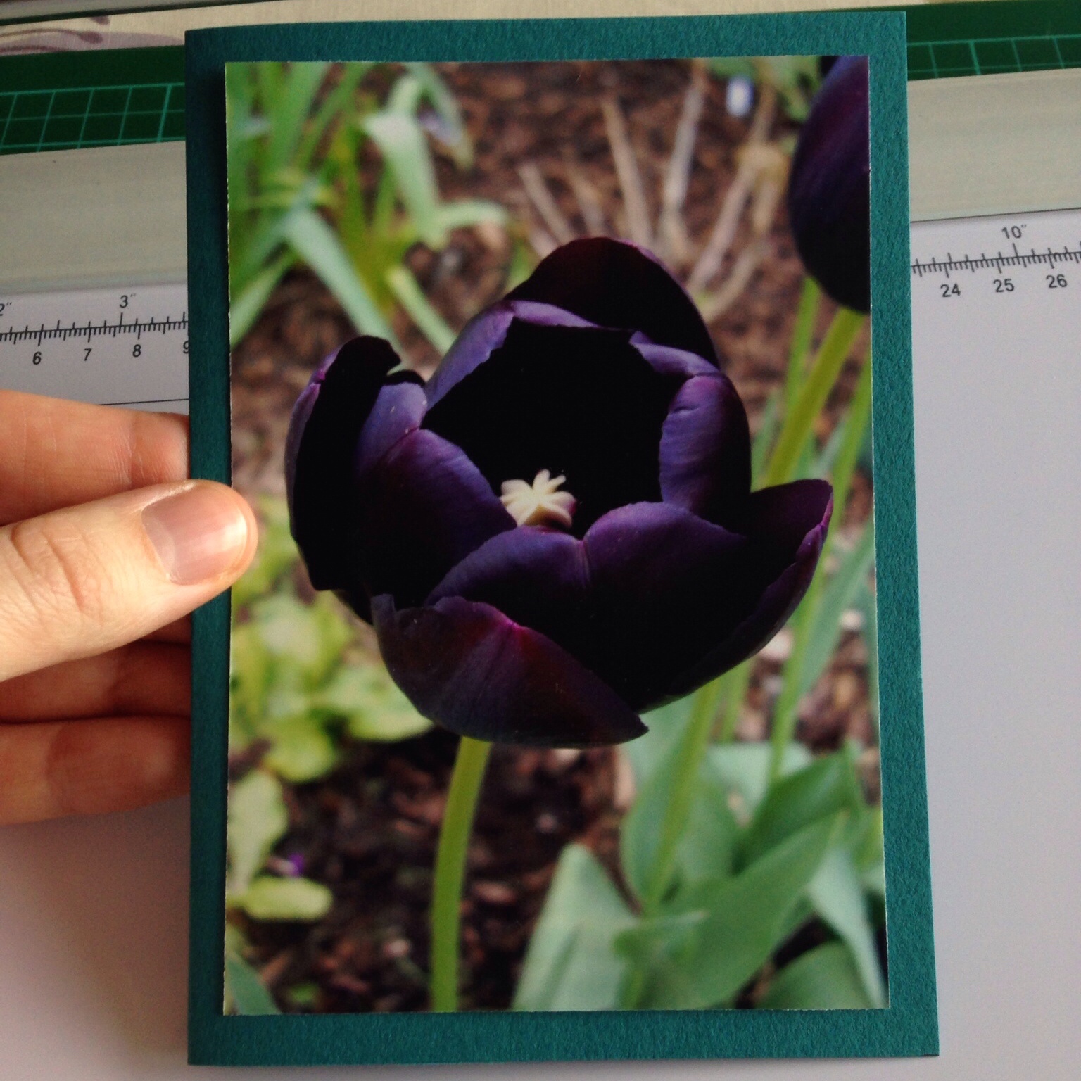 Making photo cards | Hello! Hooray!