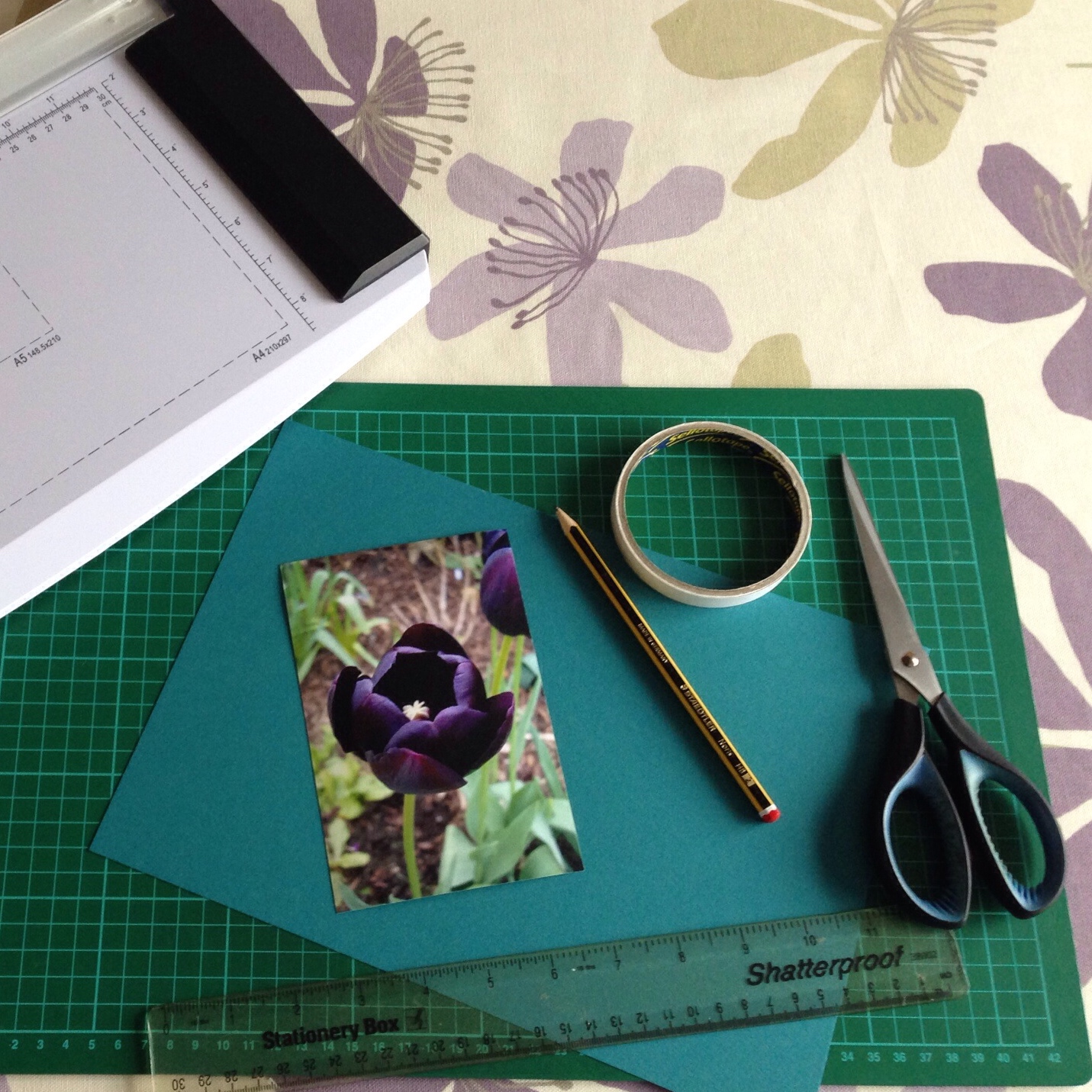 Photo cards | Hello! Hooray!