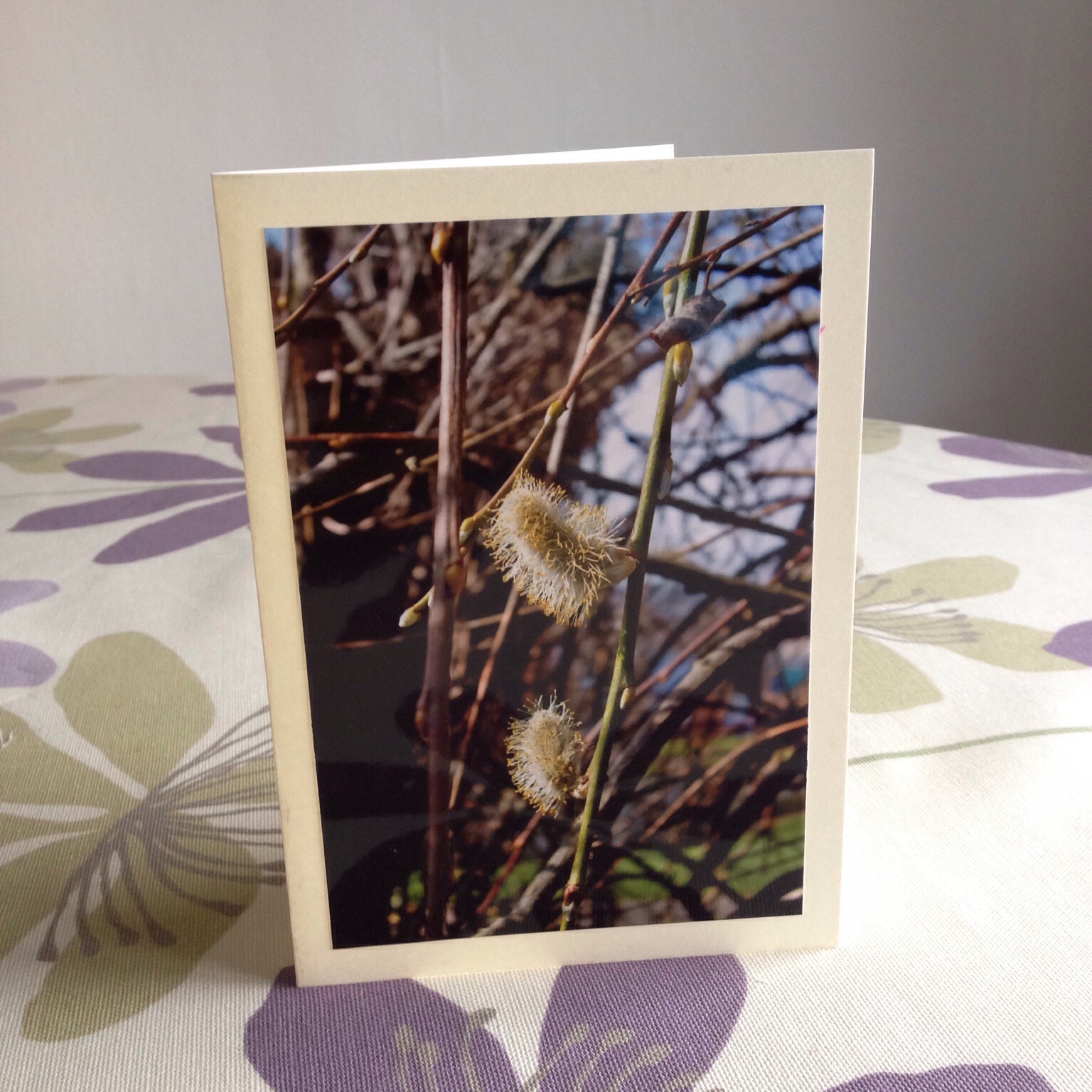 Willow photo card | Hello! Hooray!