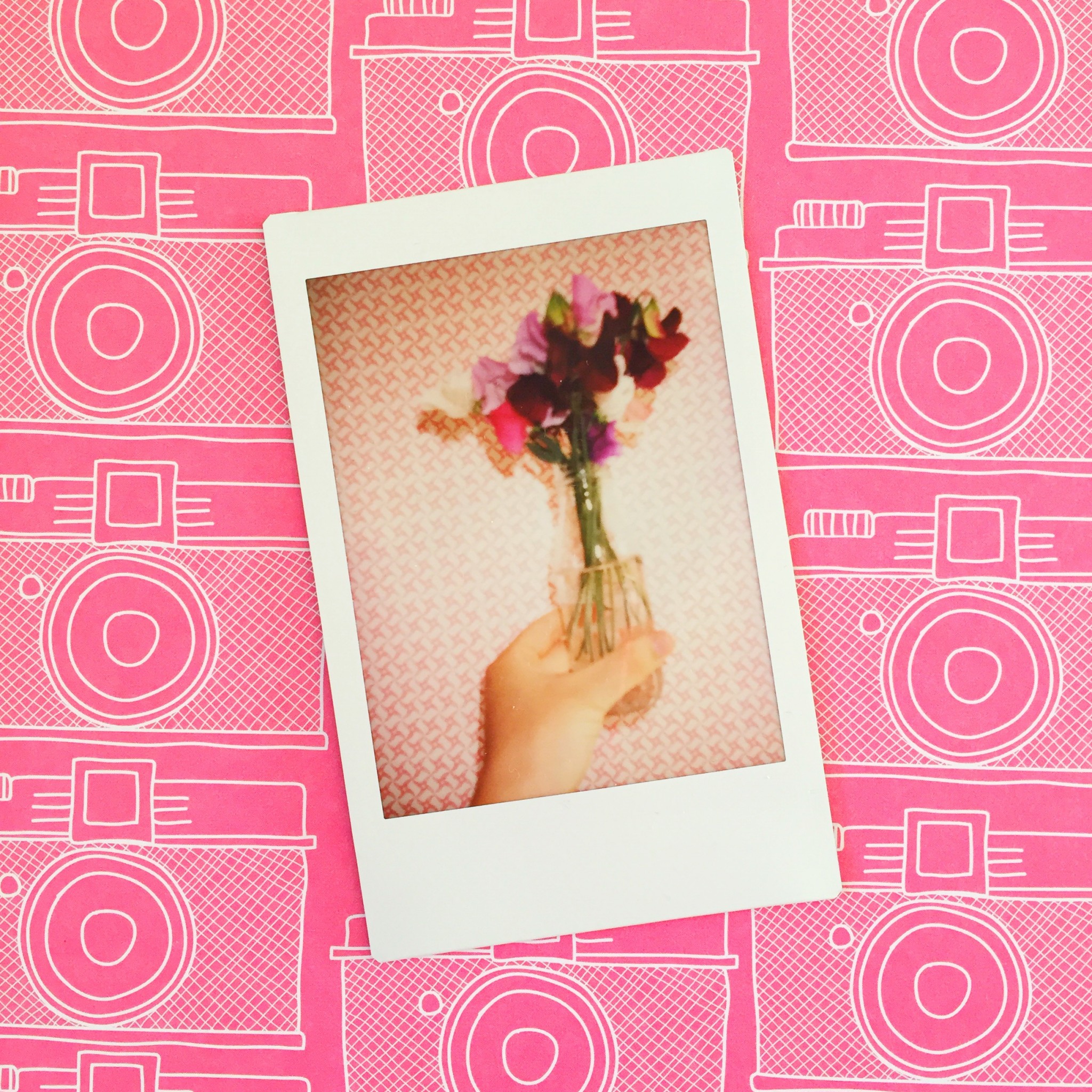 Summer polaroid pictures sweet peas | Hello! Hooray!