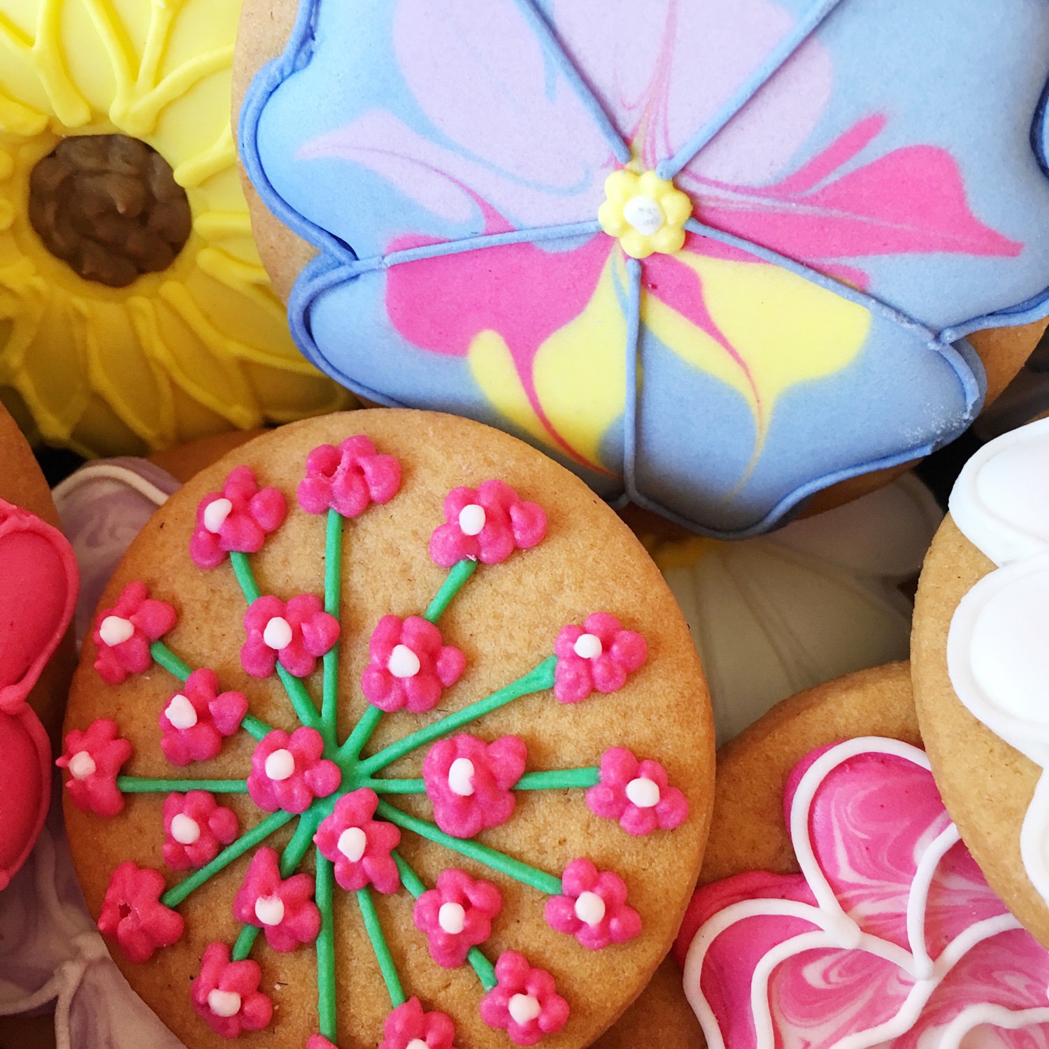 Send Biscuiteers this Mother's Day | Hello! Hooray!