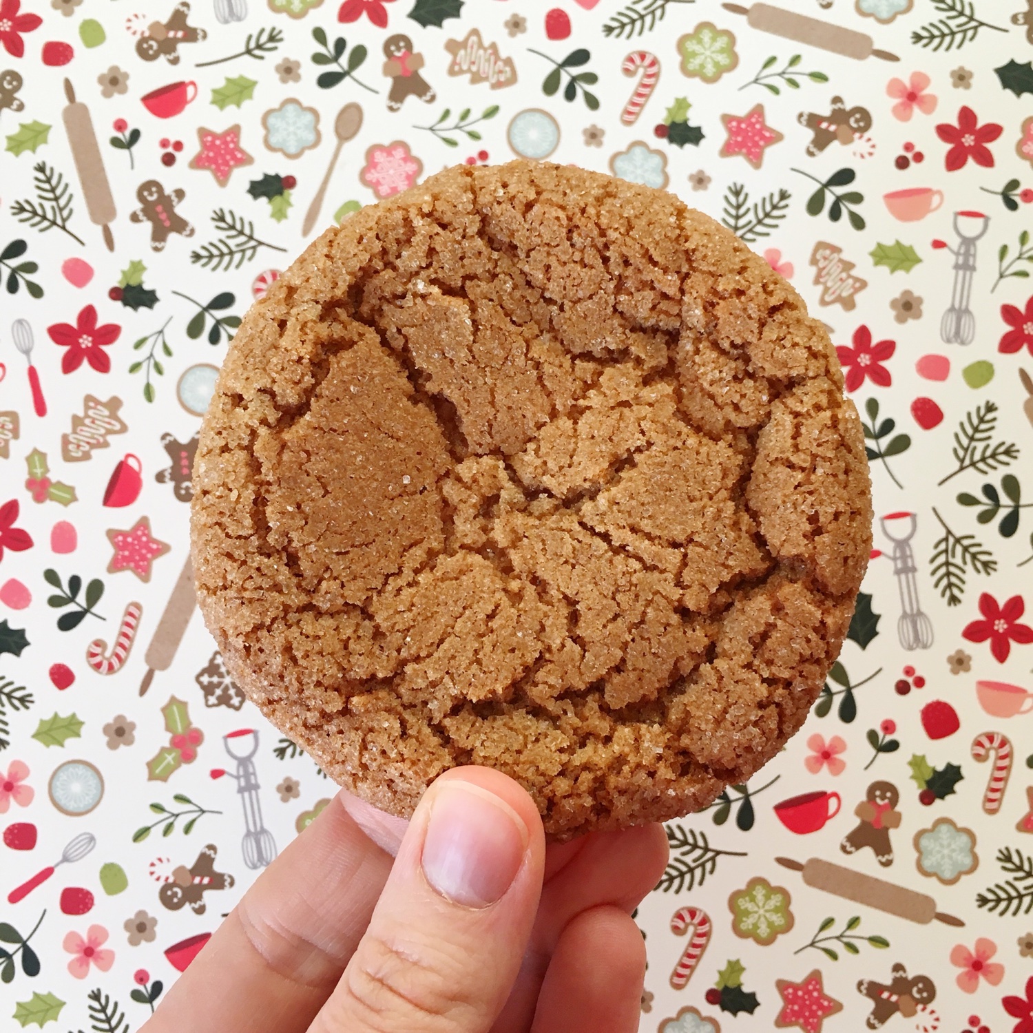 Primrose Bakery ginger sparkle cookies | Hello! Hooray!
