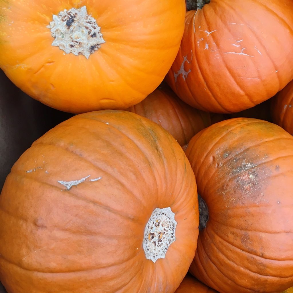 Perfect pumpkin recipes for autumn | Hello! Hooray!