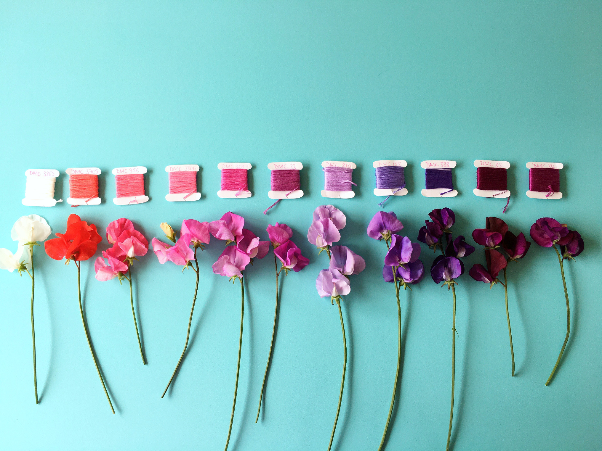 Crafty Colour Palette #5 Sweet Peas in full | Hello! Hooray!